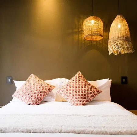Olive Grove Guesthouse-2
