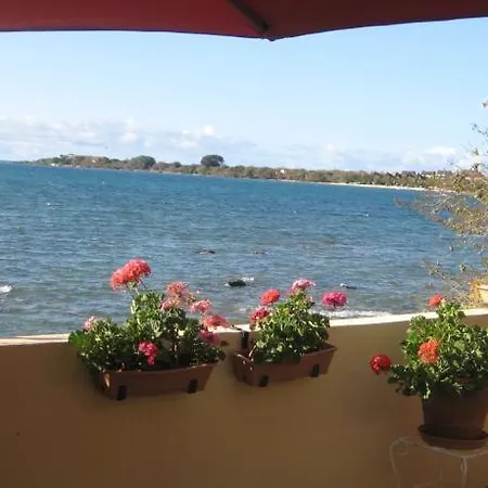 Le Cactus Guesthouse-2