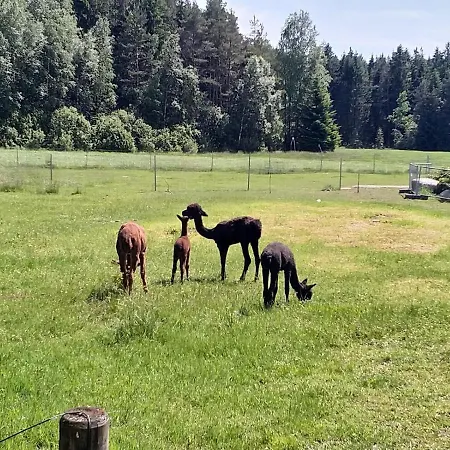 Landpension Heidi Machold-3
