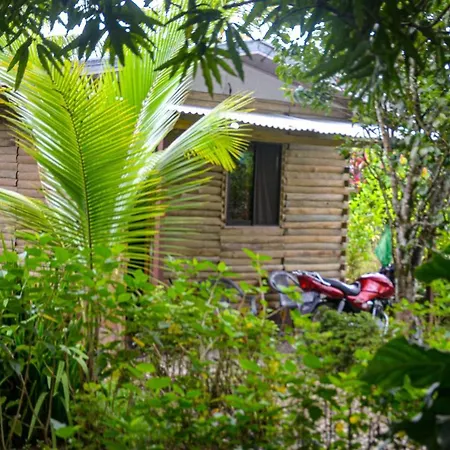 Hospedaje Y Alojamiento Cabanas Don Beto-3