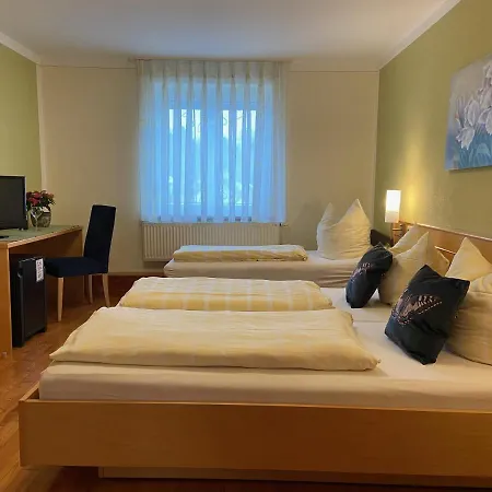 Hotel Goldener Löwe-3