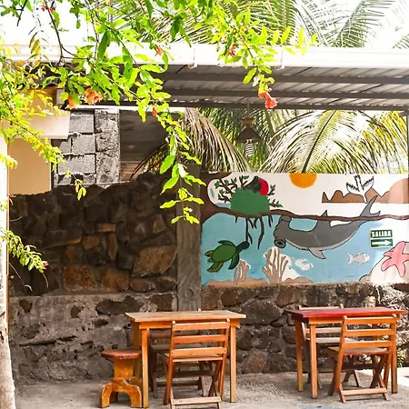 Galapagos Dove-2