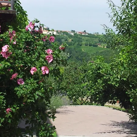 Boutique Hotel Dvor-2