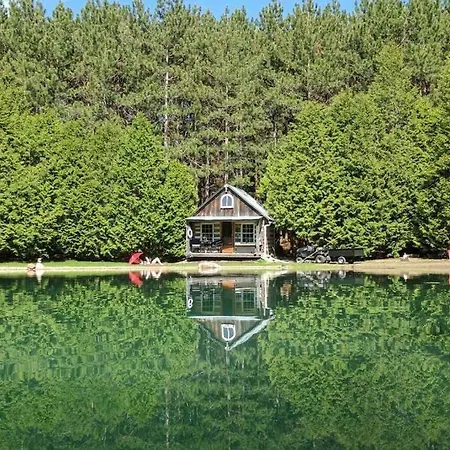 A Rustic Cabin In The Woods-3