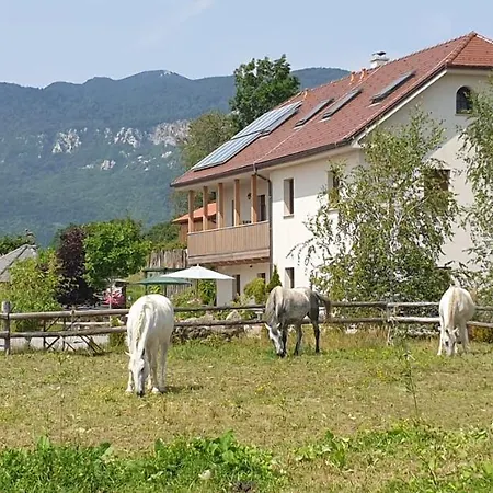 Lipizzaner Lodge Guest House-3