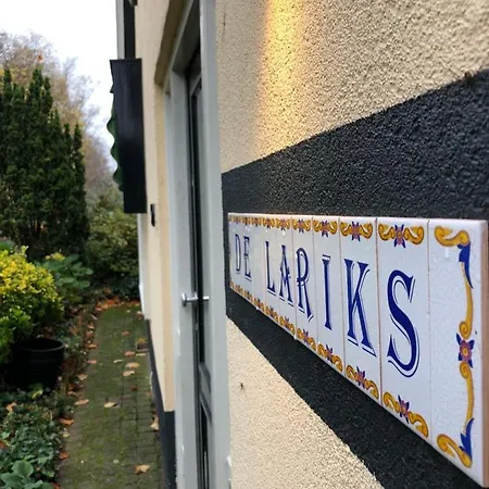 De Lariks-3