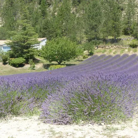 Domaine Du Murier-3