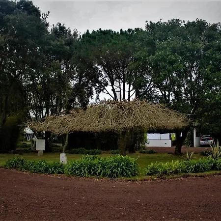 Quinta Do Bom Despacho-3