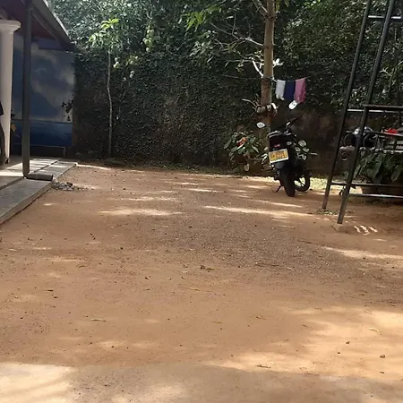 Surf Corner-2