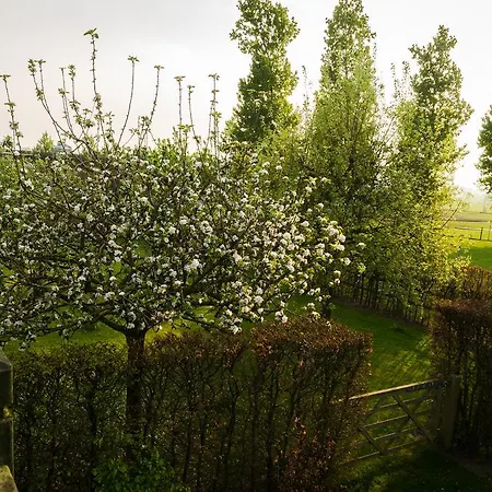 De Groote Waere-2