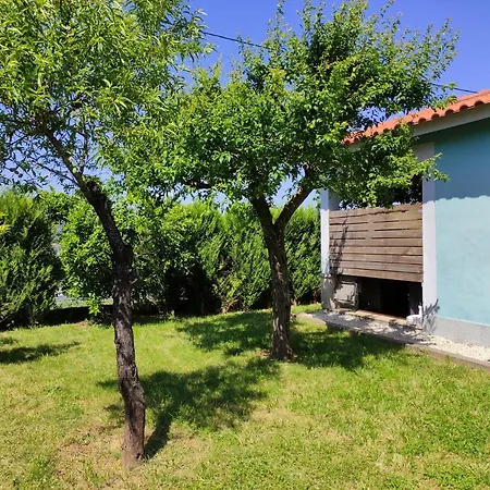 Casas do Paço - Casas de Férias-3