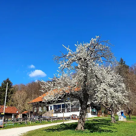 Schatzbergalm Pension-3
