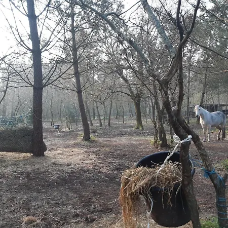 Domaine de l’Escuderia-2