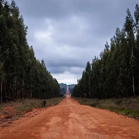 The Bubble Valley Piet Retief-2