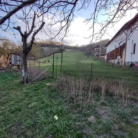 Pensiunea Ghita Vasile-2