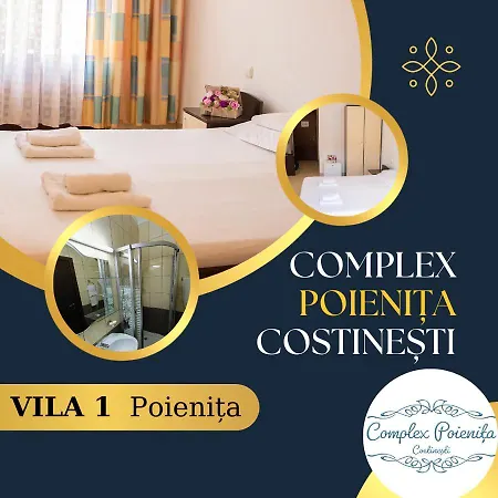 Vila Poienita-2