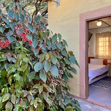 Divundu Guest House-2