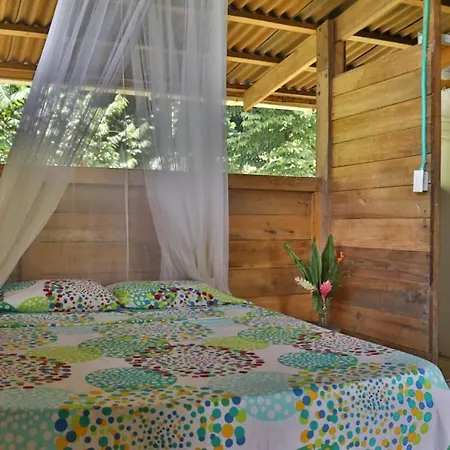 The Pelican House Hostel-3