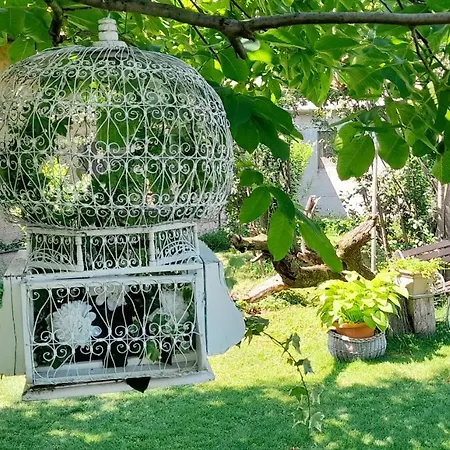 A casa di Roby-3