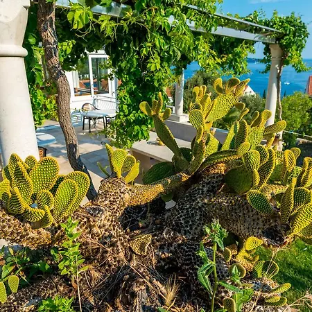 Villa Adriatic Rooms-3