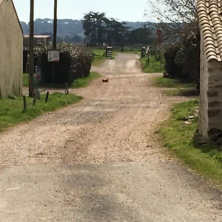 Le Clos De La Viniere-2