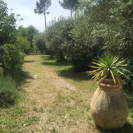 Le Mas du Sud-2