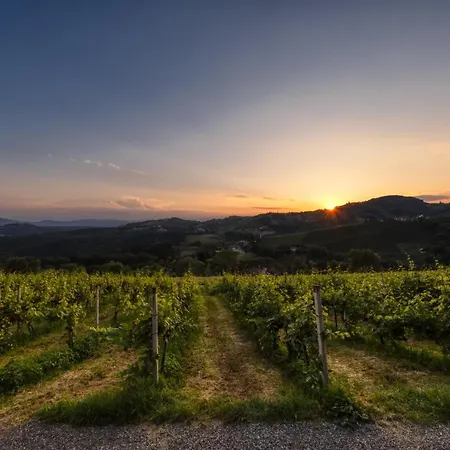 Weingut Reiterer-3