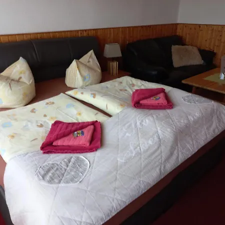 Pension Zur Elbe-2