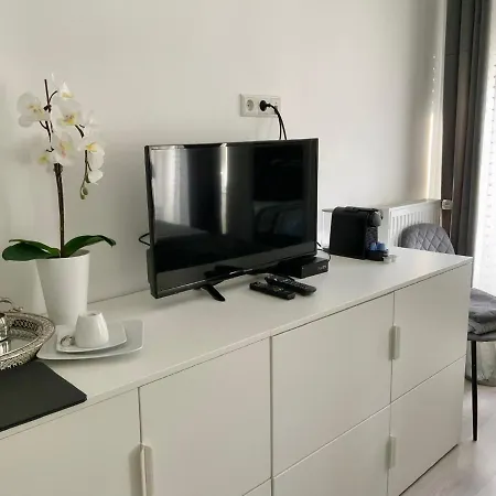 EXECUTIVE DOUBLE ROOM WITH EN-SUITE in GUEST HOUSE RUE TREVIRES R3-3