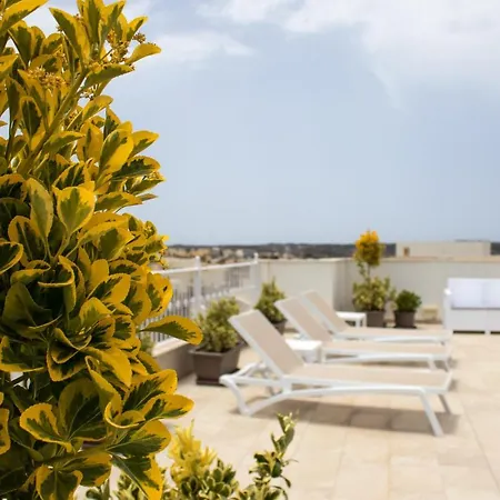 100 Boutique Living-2