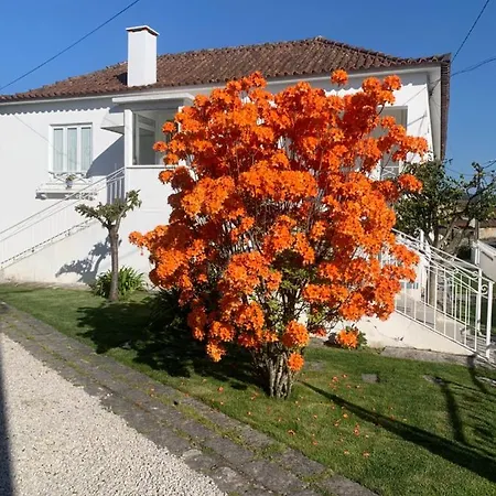 Casa Das Uveiras-3