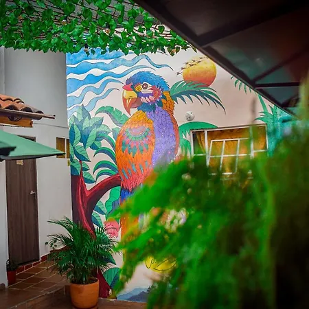 Hostal Colombian Gold-2