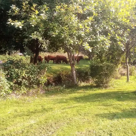 Pandy Cymunod-3