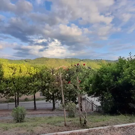 Ai Marmi-2
