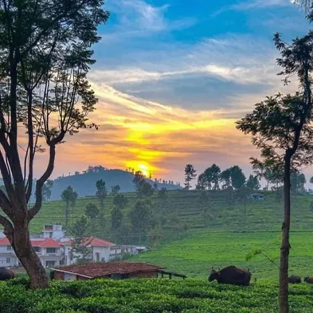 The Atmosphere Resort Kotagiri By Lexstays-2