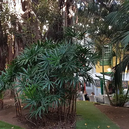 Casa Tortuga-3