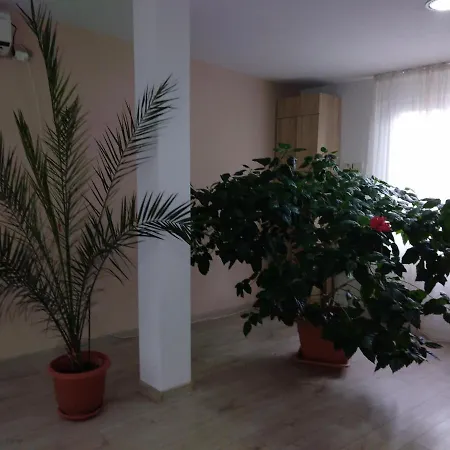 Pensiunea Casa Rusu-3