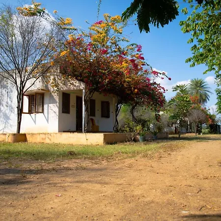 The Mountain Retreat-3