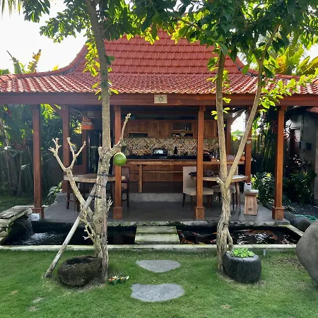 Rich Village-2
