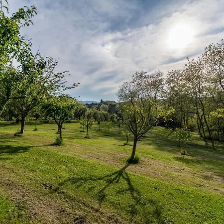 Podere Sant'Antonio-2