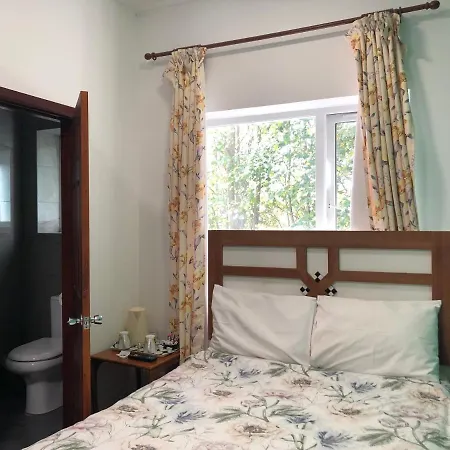 Lyttleton Guest House Limited-3
