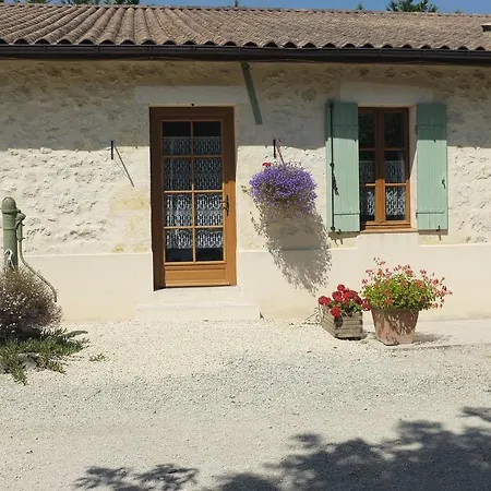 Chateau Haut Baron-3
