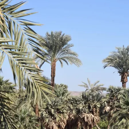 Nubian Queen Guest House-2