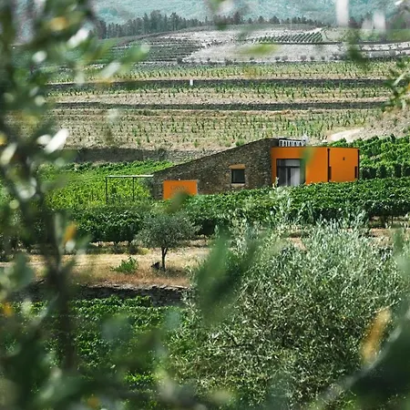 Quinta Do Monte Travesso - Country Houses & Winery-3