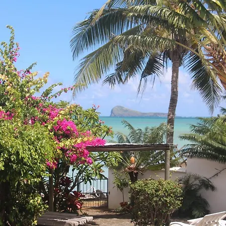 Kailani-3