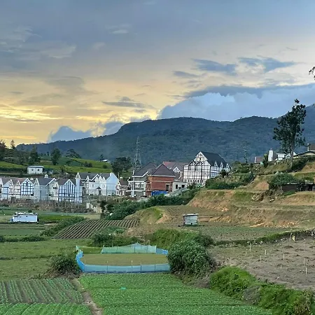 Dream Cottage Nuwara Eliya-3