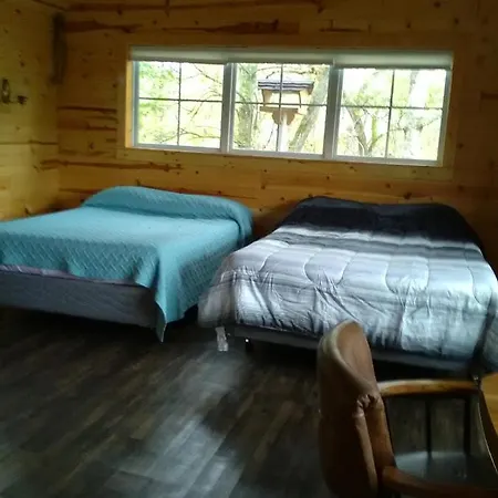 Peaceful Valley Haven Tree House-3