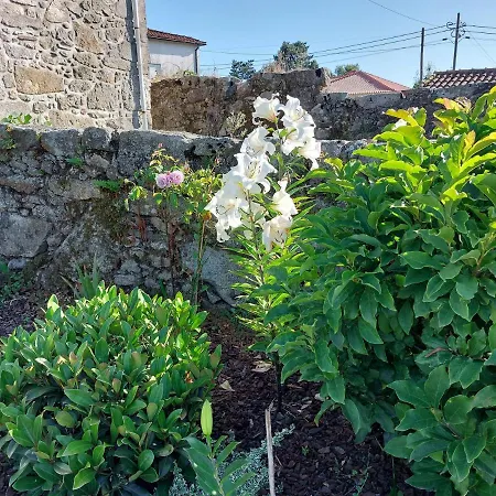 Quinta Da Ponte-2