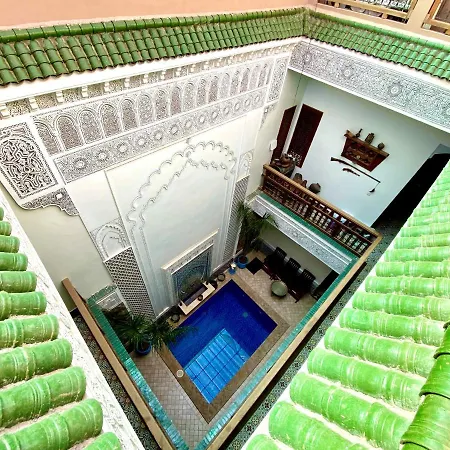 Riad Nouhal-2