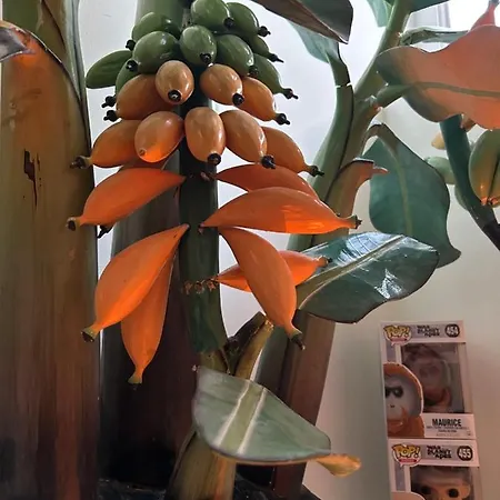 Monkey Tree Stay-3